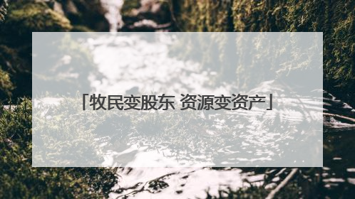 牧民变股东 资源变资产