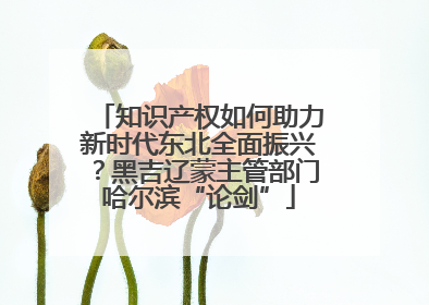 知识产权如何助力新时代东北全面振兴？黑吉辽蒙主管部门哈尔滨“论剑”