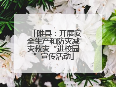 睢县：开展安全生产和防灾减灾救灾“进校园”宣传活动