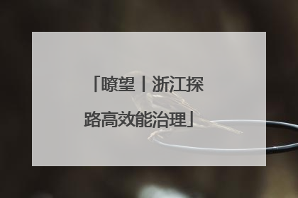 瞭望丨浙江探路高效能治理