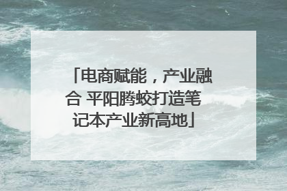 电商赋能，产业融合 平阳腾蛟打造笔记本产业新高地