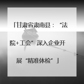 甘肃省肃南县：“法院+工会”深入企业开展“精准体检”