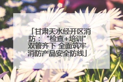 甘肃天水经开区消防：“检查+培训”双管齐下 全面筑牢消防产品安全防线