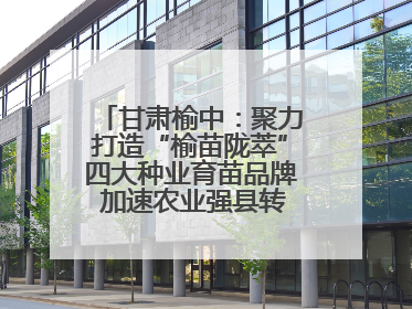 甘肃榆中：聚力打造“榆苗陇萃”四大种业育苗品牌 加速农业强县转型步伐