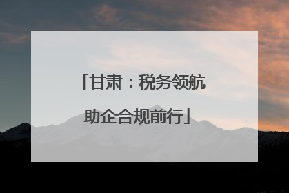 甘肃：税务领航 助企合规前行