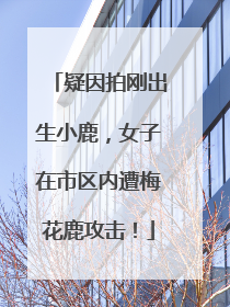 疑因拍刚出生小鹿，女子在市区内遭梅花鹿攻击！