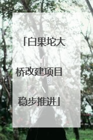白果坨大桥改建项目稳步推进