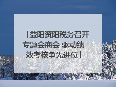 益阳资阳税务召开专题会商会 驱动绩效考核争先进位