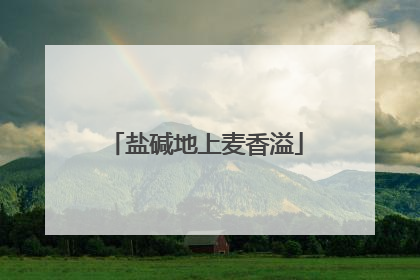 盐碱地上麦香溢