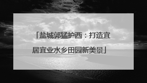 盐城郭猛护西：打造宜居宜业水乡田园新美景