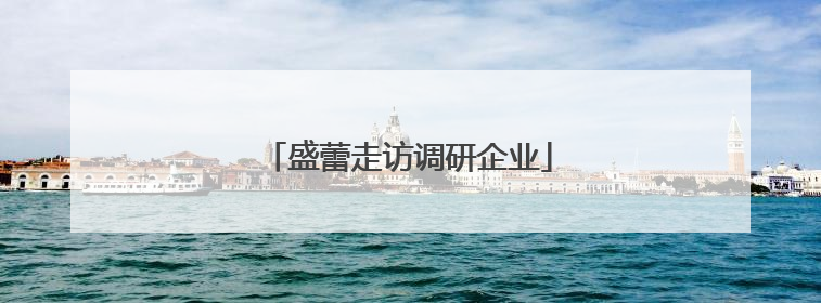 盛蕾走访调研企业