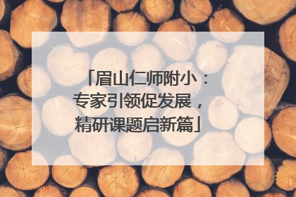 眉山仁师附小：专家引领促发展，精研课题启新篇