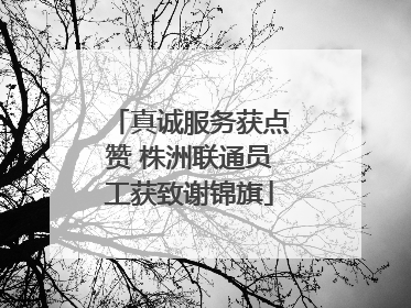 真诚服务获点赞 株洲联通员工获致谢锦旗