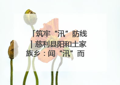 筑牢“汛”防线｜慈利县阳和土家族乡：闻“汛”而动 全员下沉筑牢防汛“安全堤”