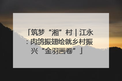 筑梦“湘”村｜江永：肉鸽振翅绘就乡村振兴“金羽画卷”