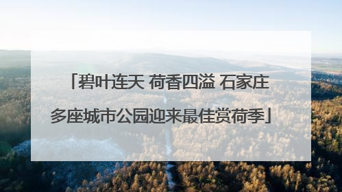 碧叶连天 荷香四溢 石家庄多座城市公园迎来最佳赏荷季