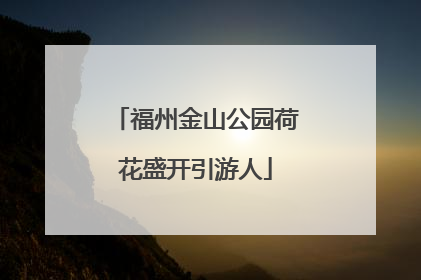 福州金山公园荷花盛开引游人