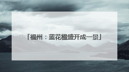 福州：蓝花楹盛开成一景