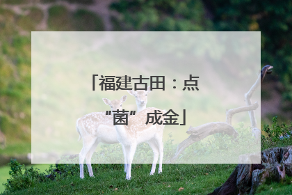 福建古田：点“菌”成金