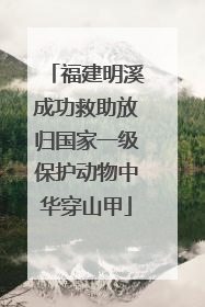 福建明溪成功救助放归国家一级保护动物中华穿山甲