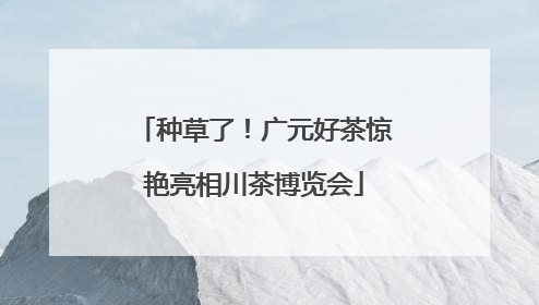 种草了！广元好茶惊艳亮相川茶博览会