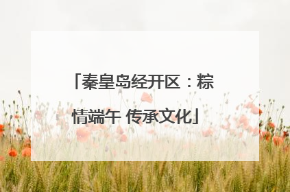 秦皇岛经开区：粽情端午 传承文化