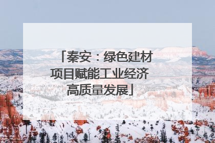 秦安：绿色建材项目赋能工业经济高质量发展