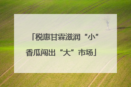 税惠甘霖滋润“小”香瓜闯出“大”市场