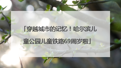 穿越城市的记忆！哈尔滨儿童公园儿童铁路69周岁啦