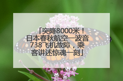 突降8000米！日本春秋航空一波音738飞机故障，乘客讲述惊魂一刻