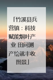 竹溪县兵营镇：科技赋能烟叶产业 田间测产绘就丰收图景