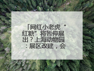 网红小老虎“红糖”将暂停展出？上海动物园：展区改建，会安排展出计划