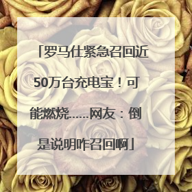 罗马仕紧急召回近50万台充电宝！可能燃烧……网友：倒是说明咋召回啊