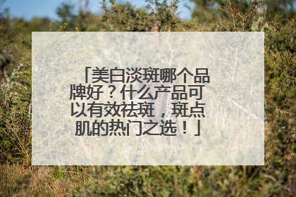 美白淡斑哪个品牌好？什么产品可以有效祛斑，斑点肌的热门之选！