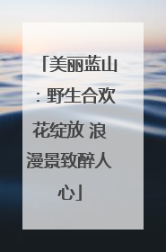 美丽蓝山：野生合欢花绽放 浪漫景致醉人心