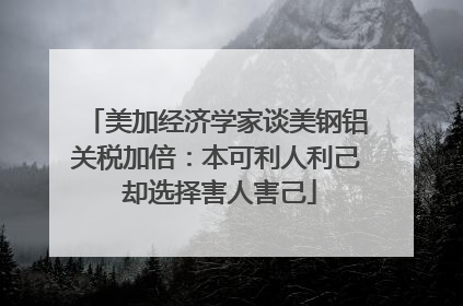 美加经济学家谈美钢铝关税加倍：本可利人利己 却选择害人害己