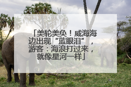 美轮美奂！威海海边出现“蓝眼泪”，游客：海浪打过来，就像星河一样