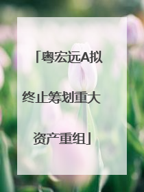 粤宏远A拟终止筹划重大资产重组