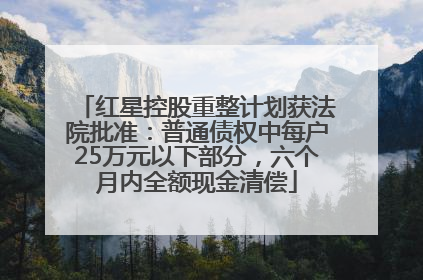 红星控股重整计划获法院批准：普通债权中每户25万元以下部分，六个月内全额现金清偿