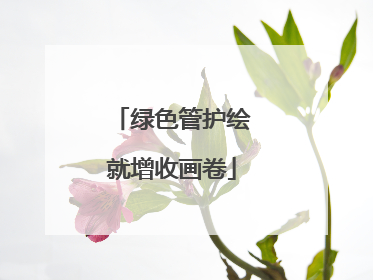 绿色管护绘就增收画卷