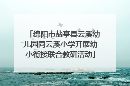 绵阳市盐亭县云溪幼儿园同云溪小学开展幼小衔接联合教研活动