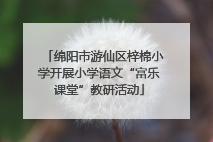 绵阳市游仙区梓棉小学开展小学语文“富乐课堂”教研活动