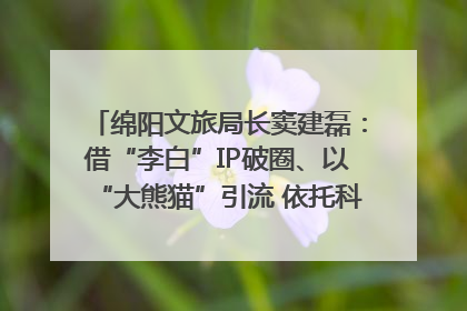 绵阳文旅局长窦建磊：借“李白”IP破圈、以“大熊猫”引流 依托科技优势绽放城市文旅魅力｜文旅局长说