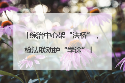 综治中心架“法桥”，检法联动护“学途”