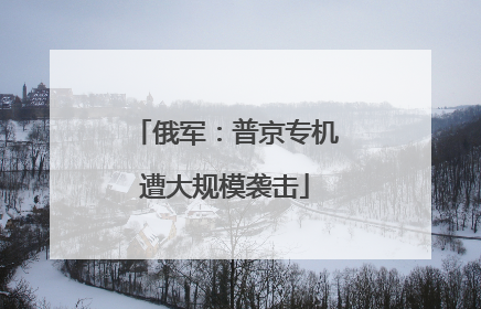 俄军：普京专机遭大规模袭击