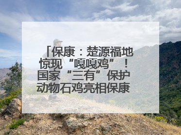 保康：楚源福地惊现“嘎嘎鸡”！国家“三有”保护动物石鸡亮相保康沿河公园