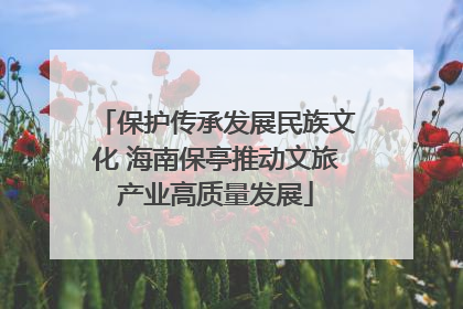 保护传承发展民族文化 海南保亭推动文旅产业高质量发展