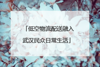 低空物流配送融入武汉民众日常生活