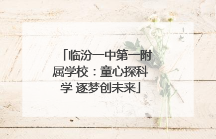 临汾一中第一附属学校：童心探科学 逐梦创未来