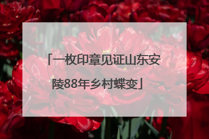 一枚印章见证山东安陵88年乡村蝶变
